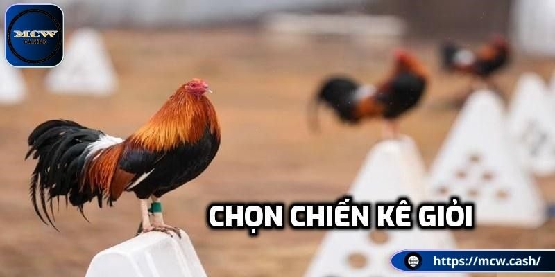 Lựa chọn chiến kê đạt chuẩn rõ nguồn gốc